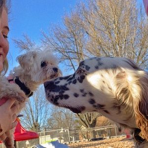 Meet your Posher, Mary walker